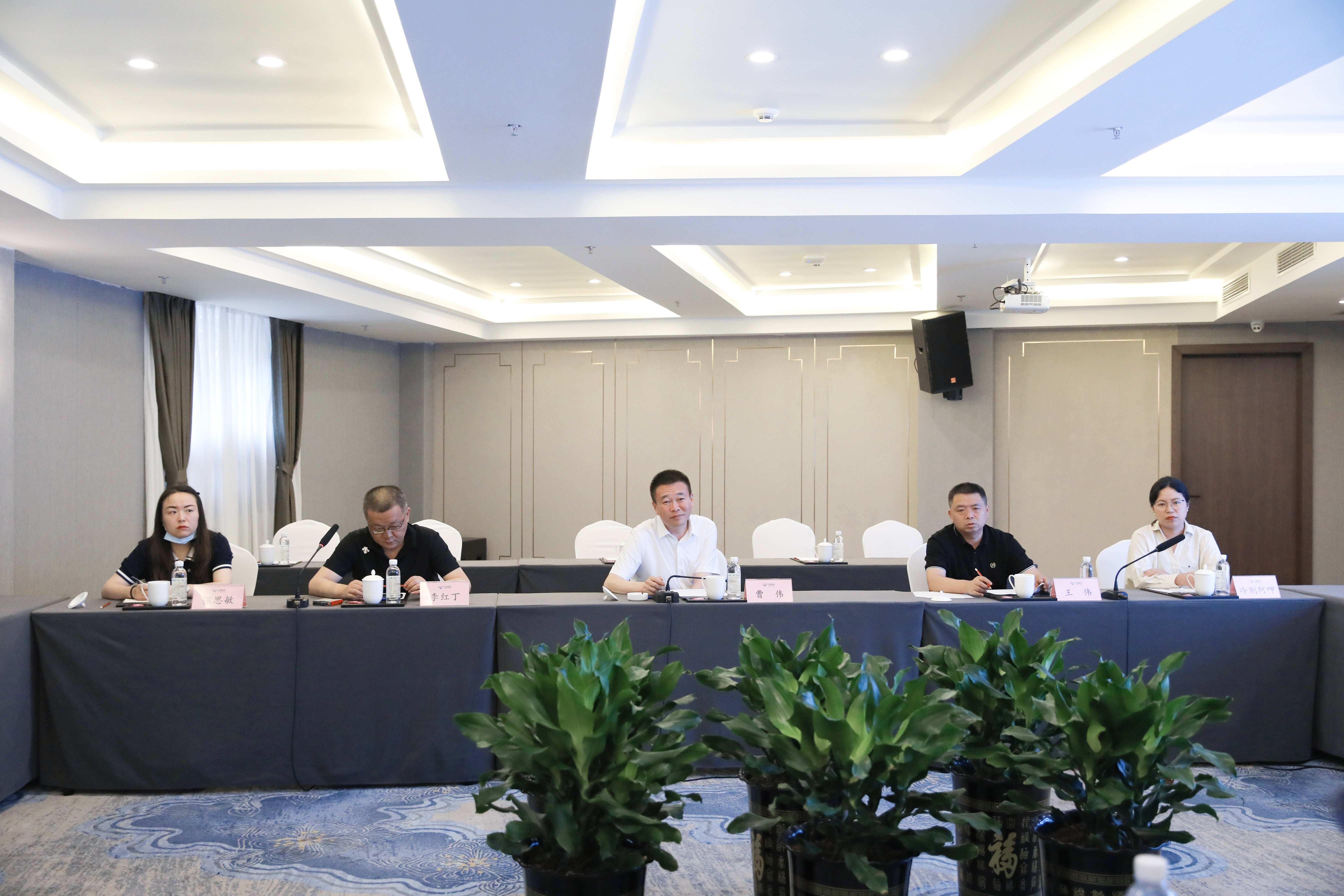 西昌市黨政代表團一行來訪川威連界基地考察調(diào)研(圖8) 西昌市黨政代表團一行來訪川威連界基地考察調(diào)研(圖8)