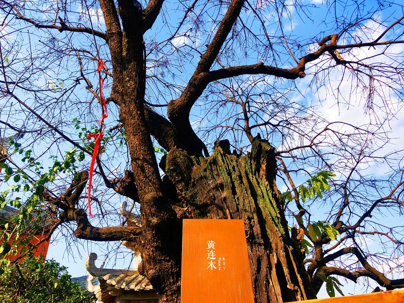 大石板古村：保護利用讓歷史文化“活”起來 ——全省城鄉(xiāng)建設(shè)歷史文化保護利用工作現(xiàn)場會在西昌大石板古村召開(圖3)