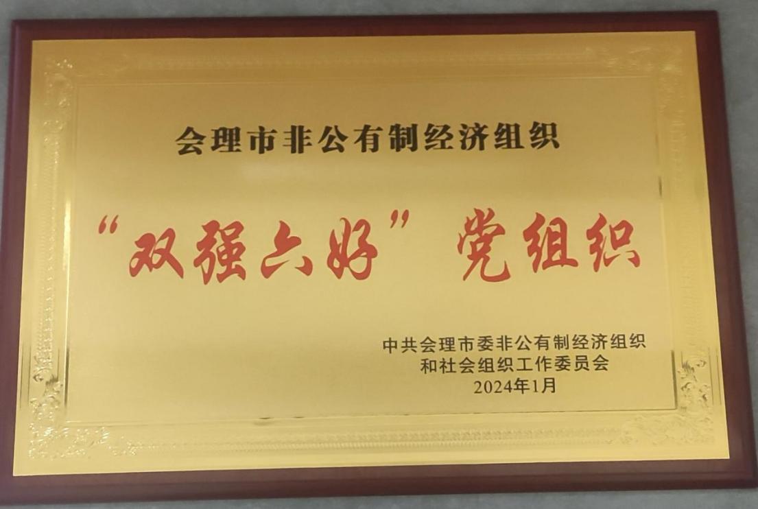 喜訊！礦業(yè)總公司財(cái)通公司黨支部榮獲會(huì)理市“雙強(qiáng)六好”黨組織稱(chēng)號(hào)
