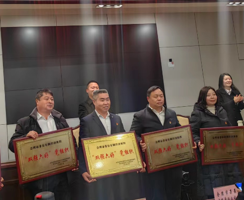 喜訊！礦業(yè)總公司財通公司黨支部榮獲會理市“雙強(qiáng)六好”黨組織稱號(圖2)