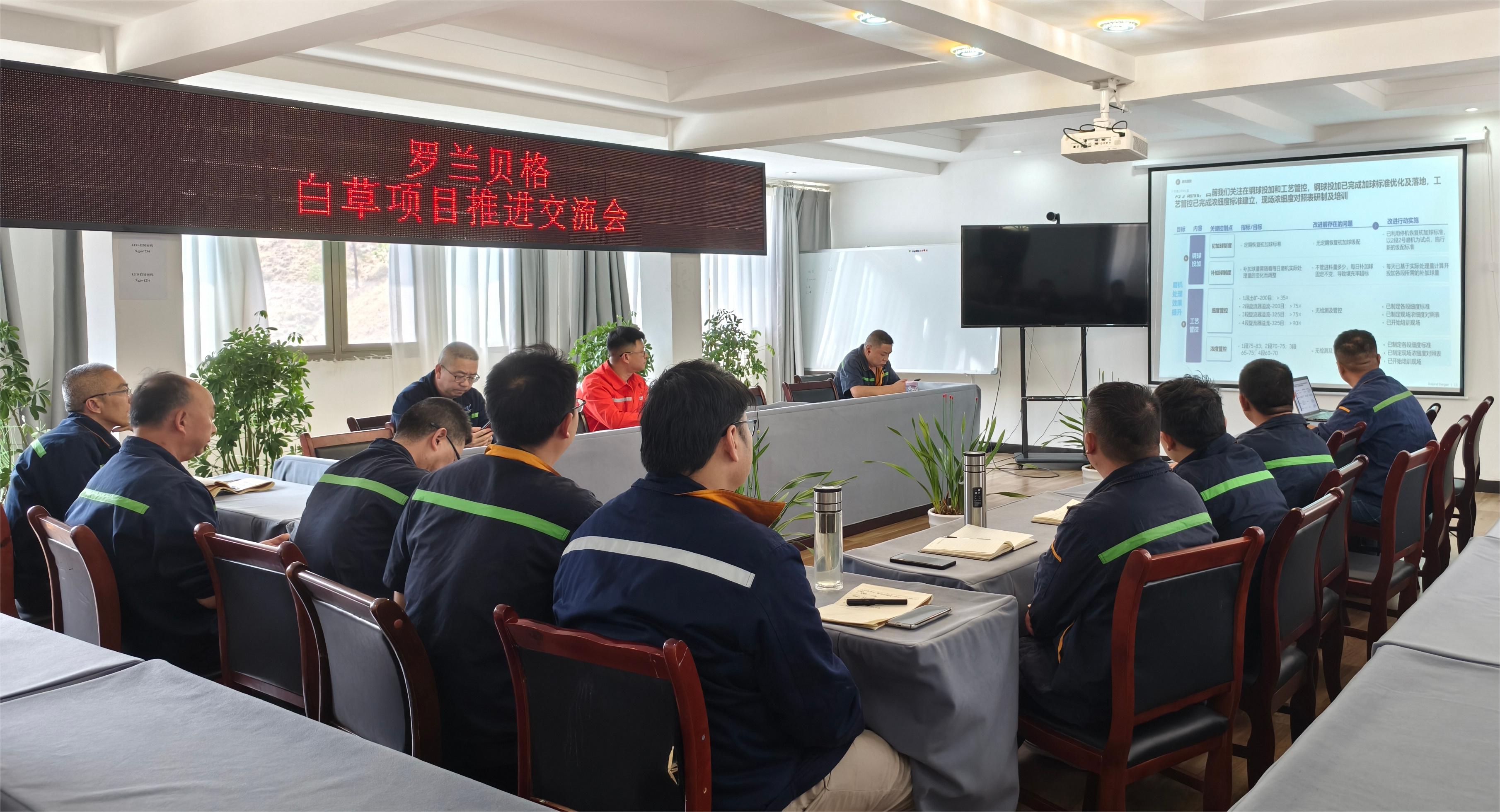 礦業(yè)總公司召開羅蘭貝格第九周項(xiàng)目階段匯報(bào)會(圖3)